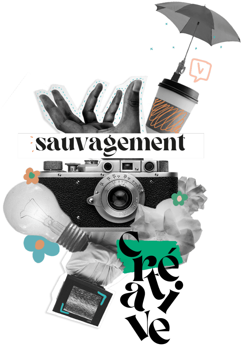 image sauvagement